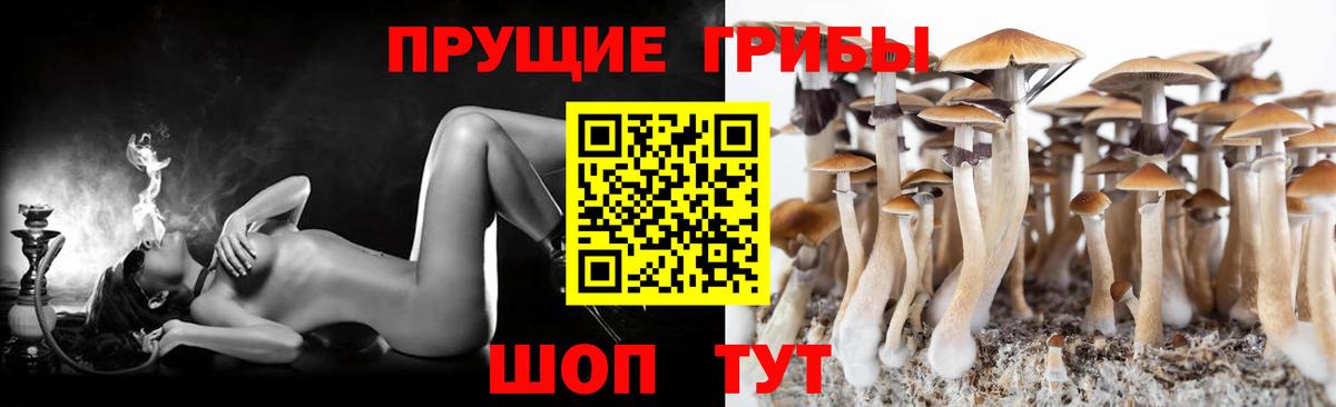 Галлюциногенные грибы Psilocybine cubensis  Вход с VPN  Псилоцибиновые грибы мухоморы  Киселёвск 